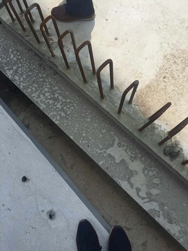 չʾ